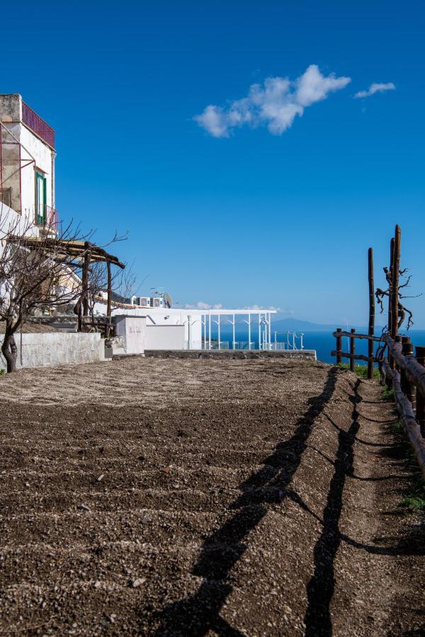 Villa La Tagliata Spectacular Jacuzzi Tub Amazing View And Private Parking Garage 포지타노 외부 사진