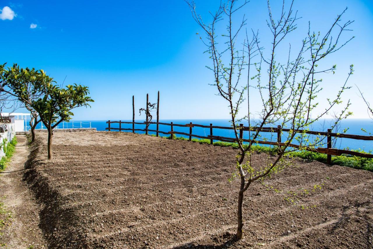 Villa La Tagliata Spectacular Jacuzzi Tub Amazing View And Private Parking Garage 포지타노 외부 사진
