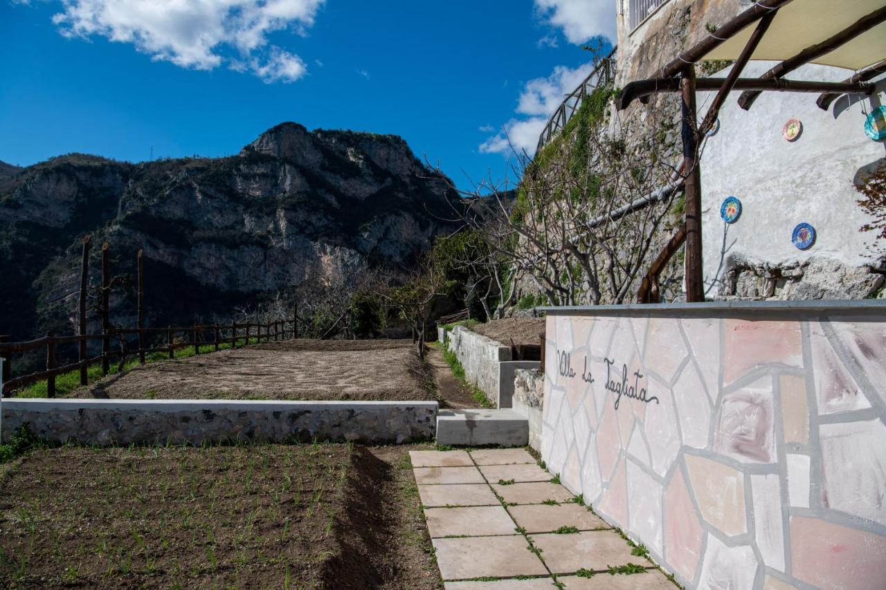 Villa La Tagliata Spectacular Jacuzzi Tub Amazing View And Private Parking Garage 포지타노 외부 사진